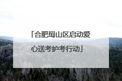 合肥蜀山区启动爱心送考护考行动