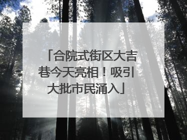 合院式街区大吉巷今天亮相！吸引大批市民涌入