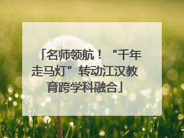 名师领航！“千年走马灯”转动江汉教育跨学科融合