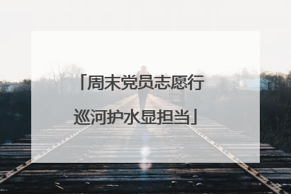 周末党员志愿行 巡河护水显担当