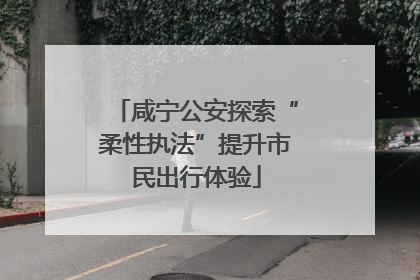 咸宁公安探索“柔性执法”提升市民出行体验