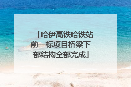 哈伊高铁哈铁站前一标项目桥梁下部结构全部完成