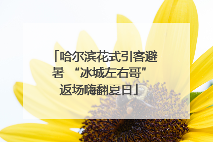 哈尔滨花式引客避暑 “冰城左右哥”返场嗨翻夏日