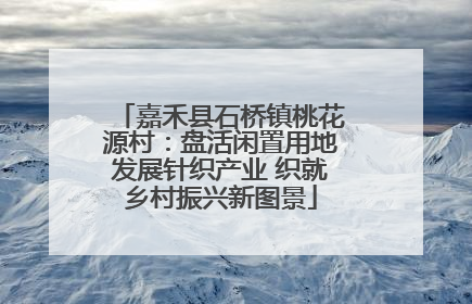 嘉禾县石桥镇桃花源村：盘活闲置用地发展针织产业 织就乡村振兴新图景