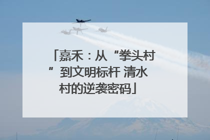 嘉禾：从“拳头村”到文明标杆 清水村的逆袭密码