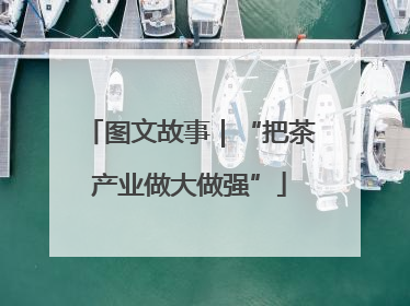图文故事｜“把茶产业做大做强”