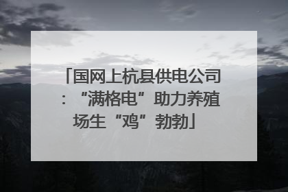 国网上杭县供电公司：“满格电”助力养殖场生“鸡”勃勃