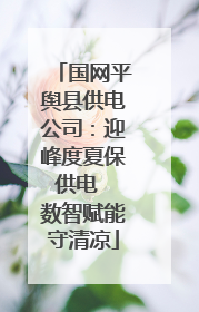 国网平舆县供电公司：迎峰度夏保供电  数智赋能守清凉