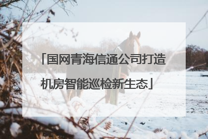 国网青海信通公司打造机房智能巡检新生态