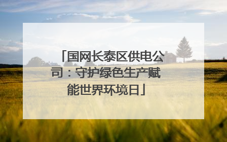 国网长泰区供电公司：守护绿色生产赋能世界环境日