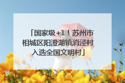 国家级+1!苏州市相城区阳澄湖镇消泾村入选全国文明村