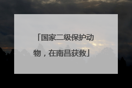国家二级保护动物，在南昌获救