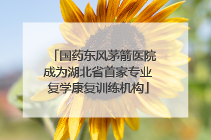 国药东风茅箭医院成为湖北省首家专业复学康复训练机构