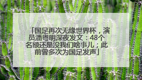 国足再次无缘世界杯，演员潘粤明深夜发文：48个名额还是没我们啥事儿；此前曾多次为国足发声