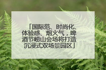 国际范、时尚化、体验感、烟火气，啤酒节崂山会场将打造沉浸式双场景园区