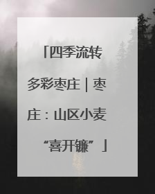 四季流转 多彩枣庄｜枣庄：山区小麦“喜开镰”