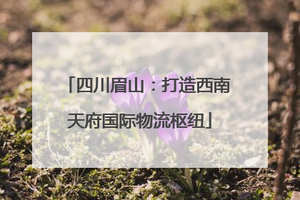 四川眉山：打造西南天府国际物流枢纽