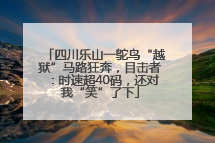 四川乐山一鸵鸟“越狱”马路狂奔，目击者：时速超40码，还对我“笑”了下