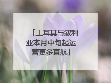 土耳其与叙利亚本月中旬起运营更多直航