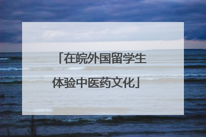 在皖外国留学生体验中医药文化