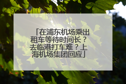 在浦东机场乘出租车等待时间长？去临港打车难？上海机场集团回应