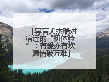 导盲犬杰瑞对宿迁的“初体验”：有爱亦有坎 温情破万难
