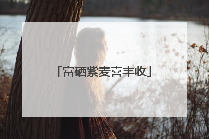 富硒紫麦喜丰收