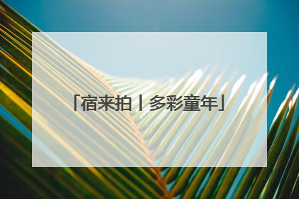 宿来拍丨多彩童年