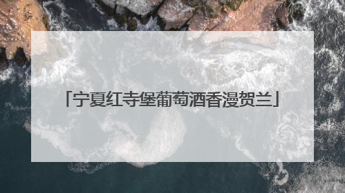 宁夏红寺堡葡萄酒香漫贺兰