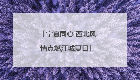 宁夏同心 西北风情点燃江城夏日