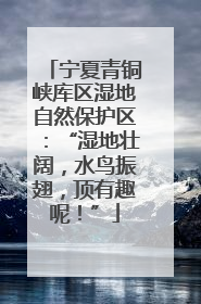 宁夏青铜峡库区湿地自然保护区：“湿地壮阔，水鸟振翅，顶有趣呢！”