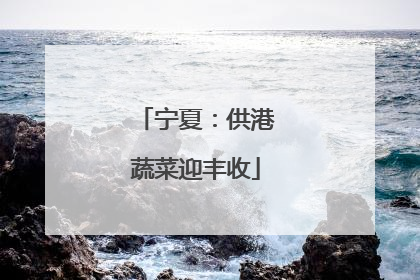 宁夏：供港蔬菜迎丰收