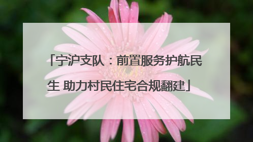 宁沪支队：前置服务护航民生 助力村民住宅合规翻建