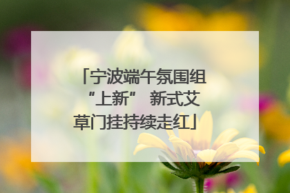 宁波端午氛围组“上新” 新式艾草门挂持续走红