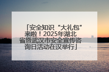 安全知识“大礼包”来啦！2025年湖北省暨武汉市安全宣传咨询日活动在汉举行