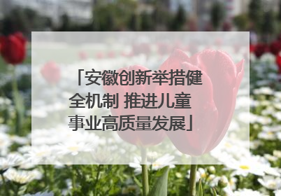 安徽创新举措健全机制 推进儿童事业高质量发展