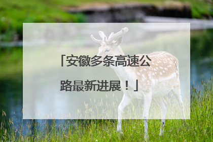 安徽多条高速公路最新进展！