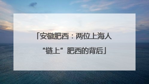 安徽肥西：两位上海人“链上”肥西的背后
