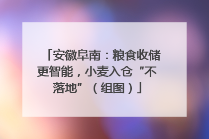 安徽阜南：粮食收储更智能，小麦入仓“不落地”（组图）