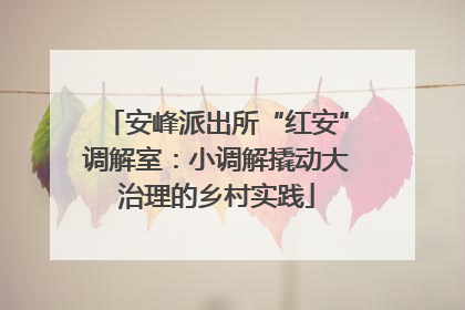 安峰派出所“红安”调解室：小调解撬动大治理的乡村实践