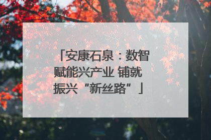 安康石泉：数智赋能兴产业 铺就振兴“新丝路”