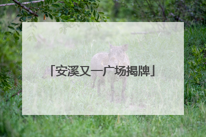 安溪又一广场揭牌