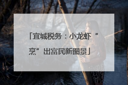 宜城税务：小龙虾“烹”出富民新图景