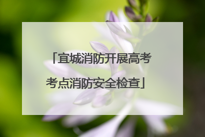 宜城消防开展高考考点消防安全检查