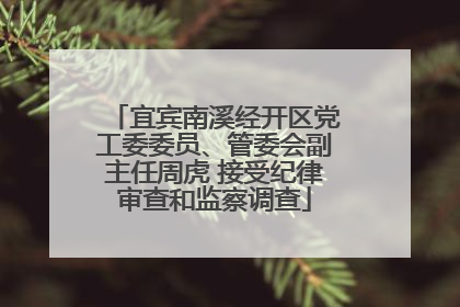 宜宾南溪经开区党工委委员、管委会副主任周虎 接受纪律审查和监察调查