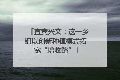 宜宾兴文：这一乡镇以创新种植模式拓宽“增收路”