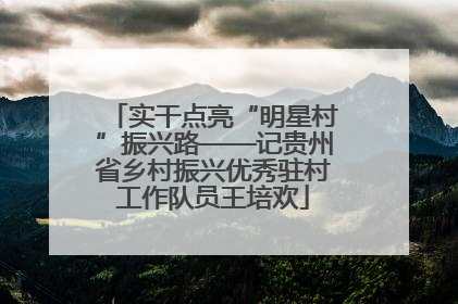 实干点亮“明星村”振兴路——记贵州省乡村振兴优秀驻村工作队员王培欢