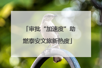 审批“加速度”助燃泰安文旅新热度