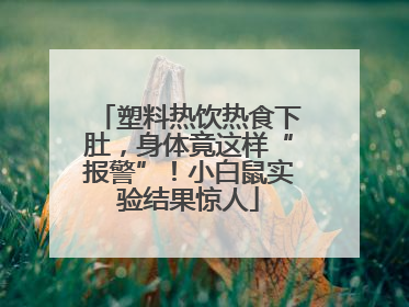 塑料热饮热食下肚，身体竟这样“报警”！小白鼠实验结果惊人