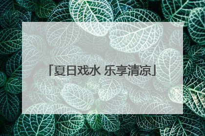 夏日戏水 乐享清凉